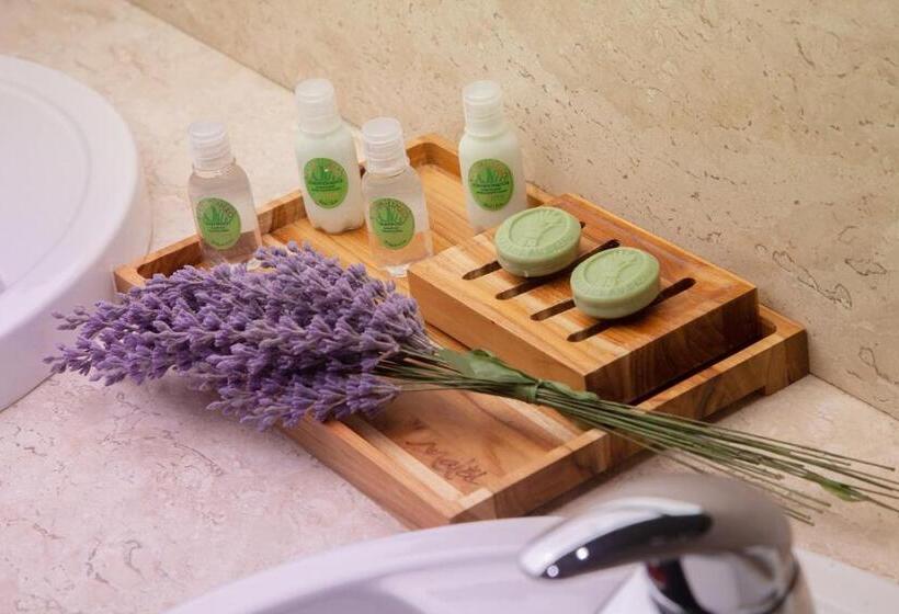 Семейное Бунгало, Malai Manso Resort Yatch Convention & Spa