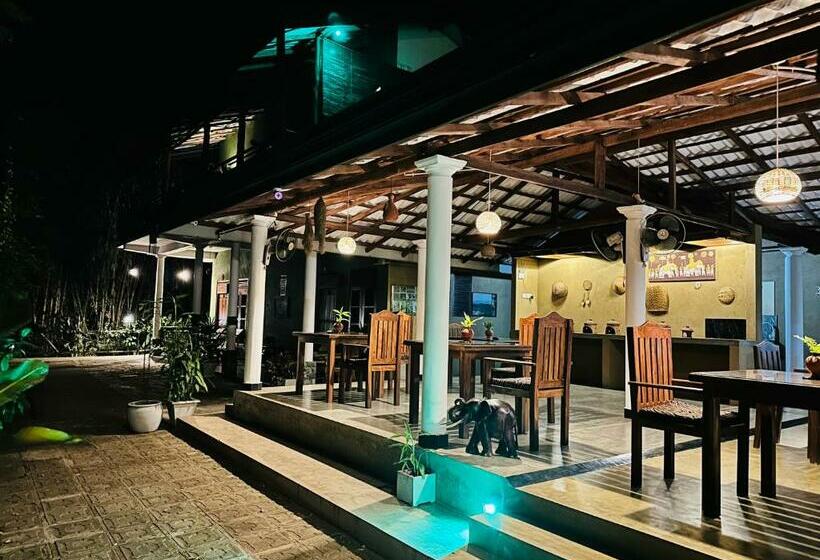 اتاق استاندارد, Nature House