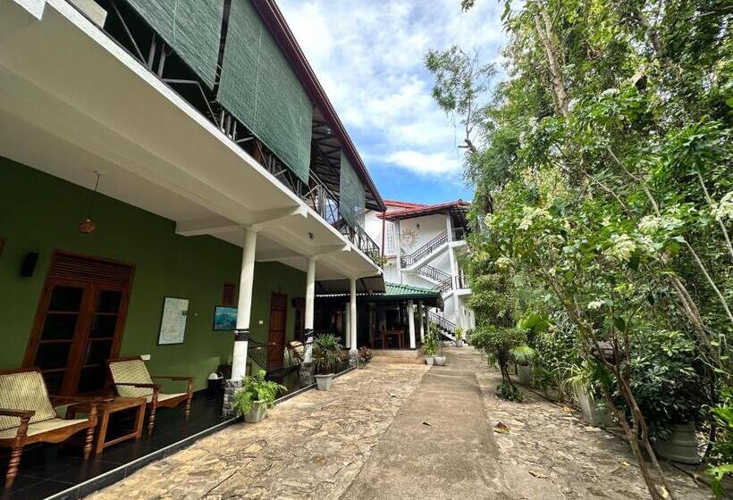 اتاق استاندارد, Nature House