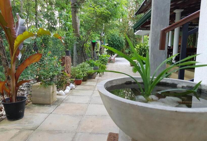 اتاق استاندارد, Nature House
