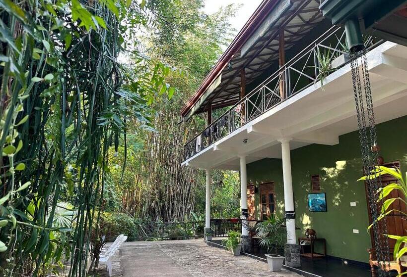 اتاق سوپریور, Nature House