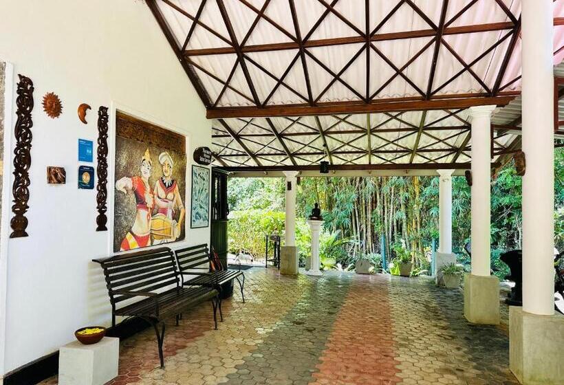 اتاق لوکس سه تخته, Nature House