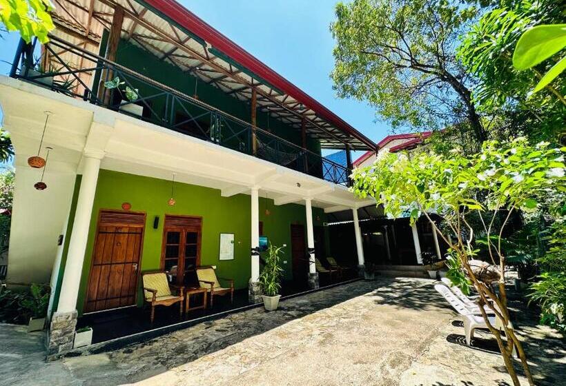 اتاق استاندارد, Nature House