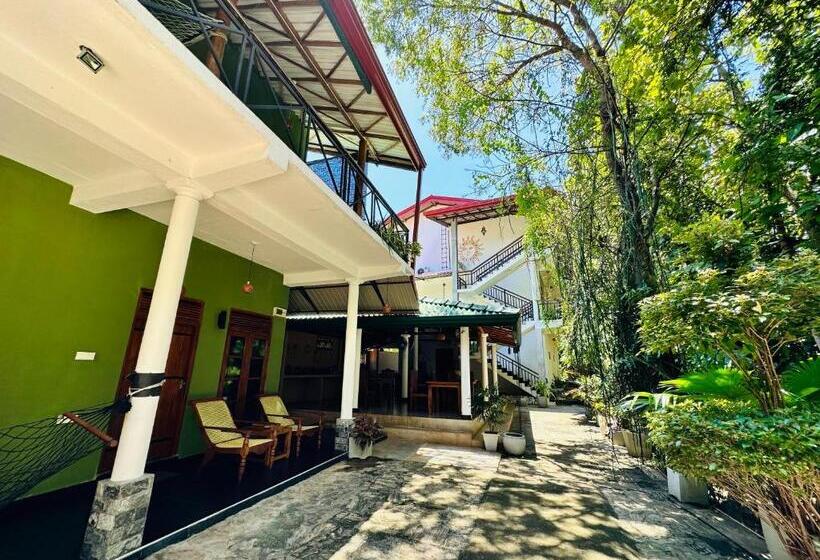 اتاق سوپریور, Nature House