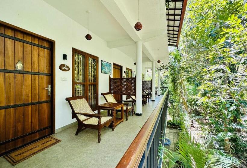 اتاق لوکس سه تخته, Nature House