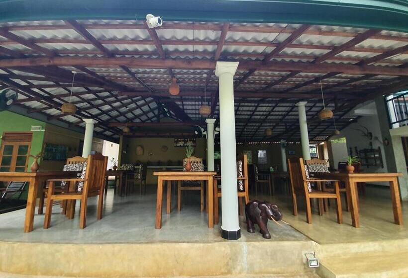 اتاق لوکس, Nature House