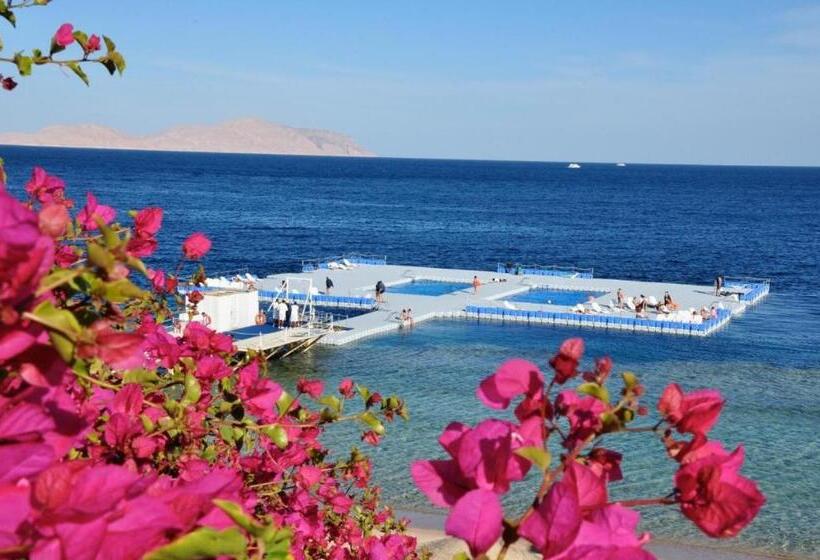 استودیوی استاندارد با چشم‌انداز دریا, Domina Coral Bay Private Studios