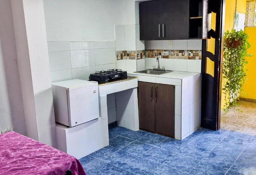 استودیوی استاندارد, Hostel Stingray