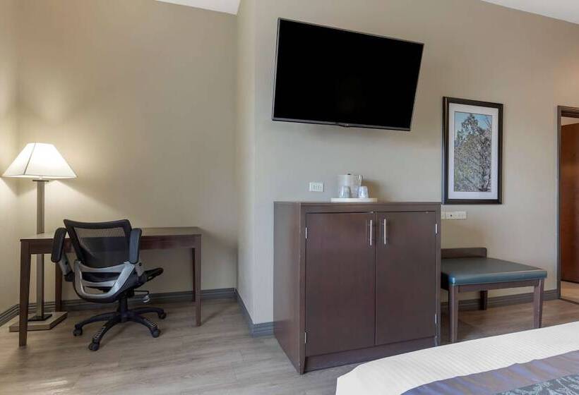 Люкс, Best Western Plus Fort Stockton