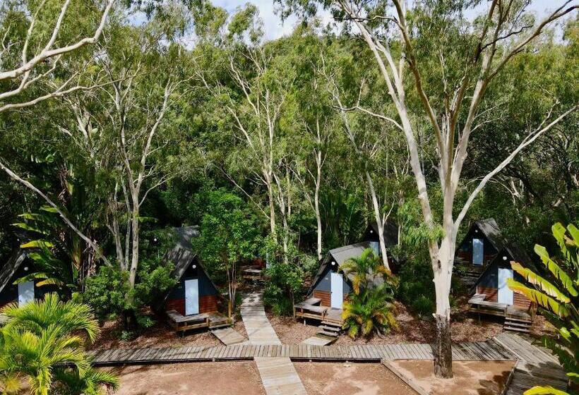 Номер Стандарт Совместная Ванная, Bungalow Bay Koala Village   Hostel