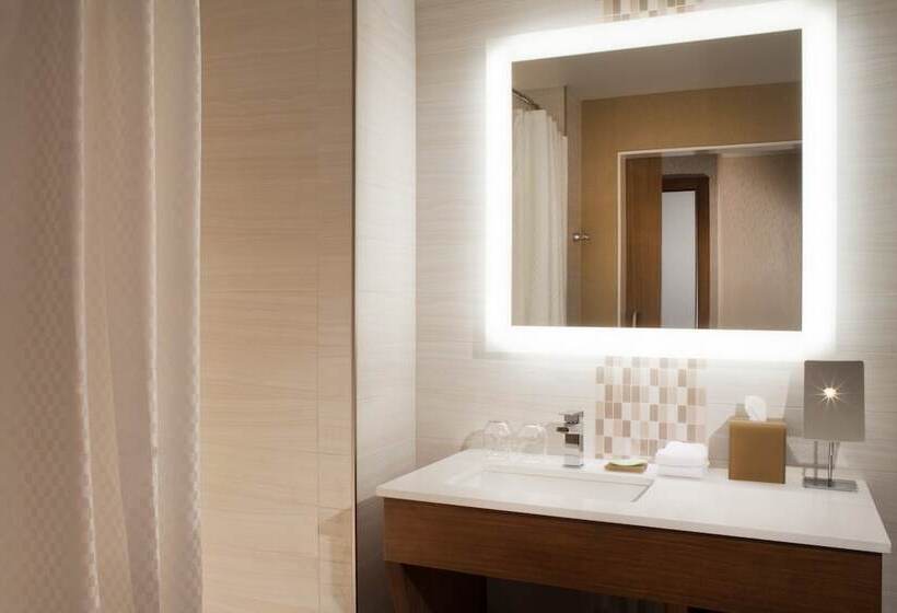 Номер Deluxe, The Westin Dallas Downtown