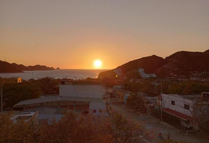 آپارتمان 1 خوابه همکف, Aparta