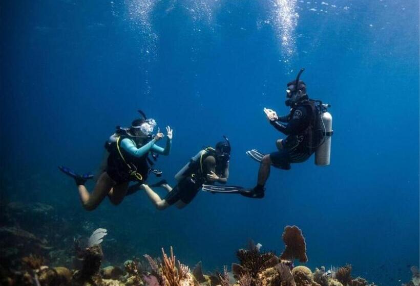 آپارتمان 1 خوابه, Aparta