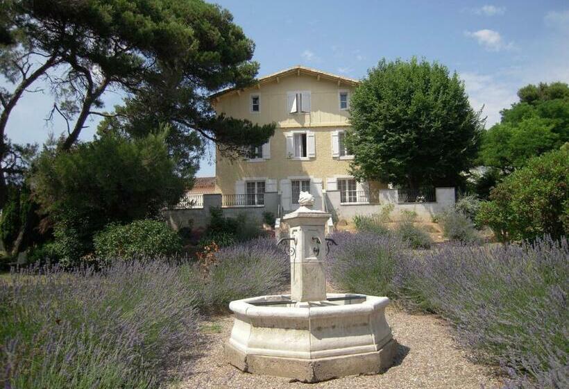 스탠다드 룸, Room In Guest Room   Londres Guest Room In The Heart Of The Vineyard