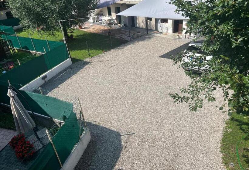 Номер Стандарт, La Corte Di Bacco