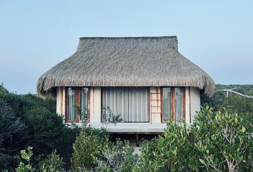 اتاق اساندارد با چشم‌انداز جانبی به دریا, Zenguelemo Lodge