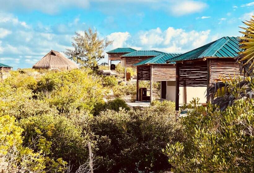 اتاق اساندارد با چشم‌انداز جانبی به دریا, Zenguelemo Lodge