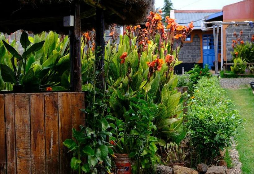 اتاق خانوادگی, Jc Iten Guest House