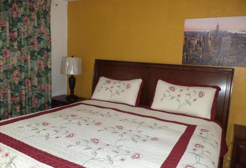 غرفة قياسية سرير كينج, Glades Motel   Naples