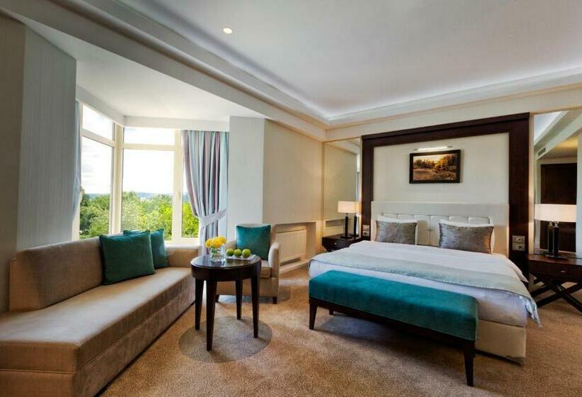 اتاق سوپریور, Gabala Yengice Thermal Resort