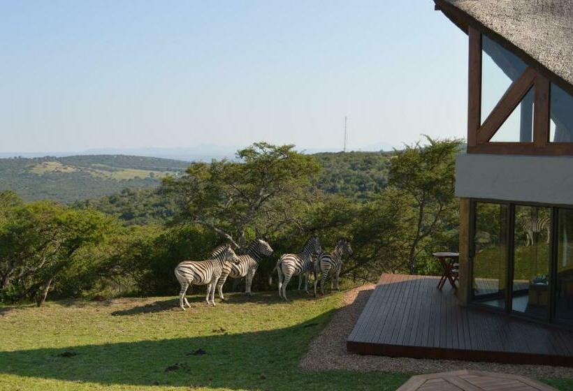 Люкс, Jbay Zebra Lodge