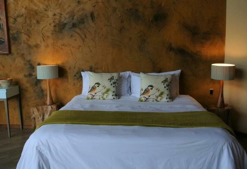 Люкс, Jbay Zebra Lodge