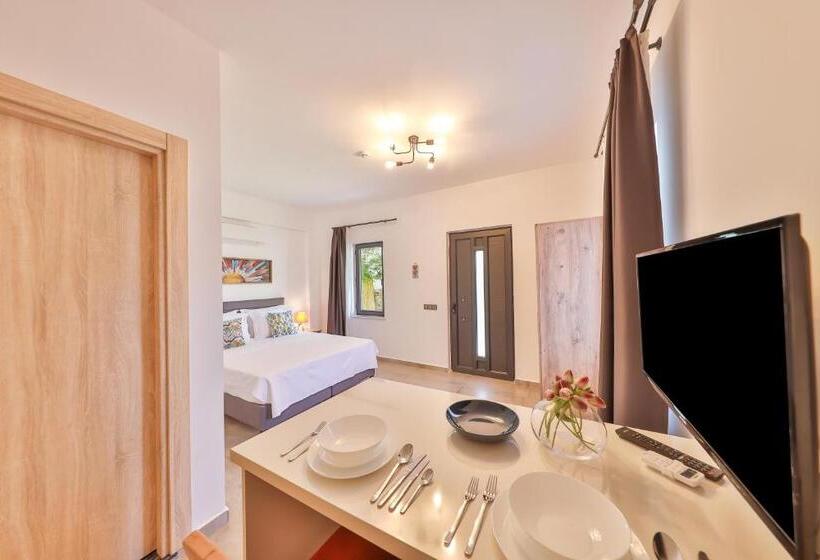 استودیو استاندارد با چشم‌انداز باغ, Thomas Suites Datca