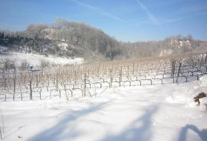 Номер Стандарт, Agriturismo Villa Le Vigne
