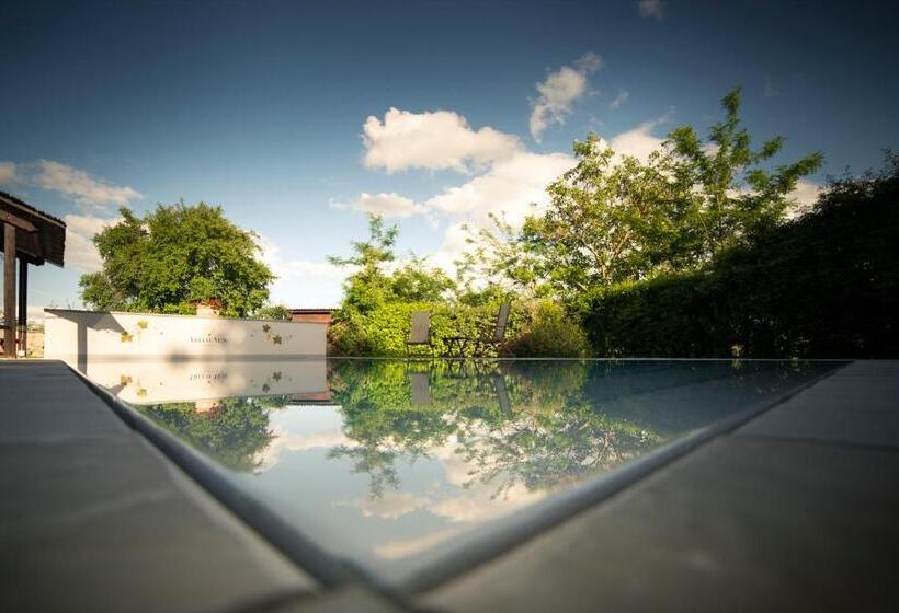 Классический Номер, Agriturismo Villa Le Vigne