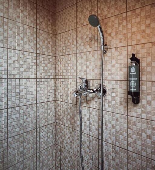 다락방 스탠다드 룸, Akti Hotel Ioannina