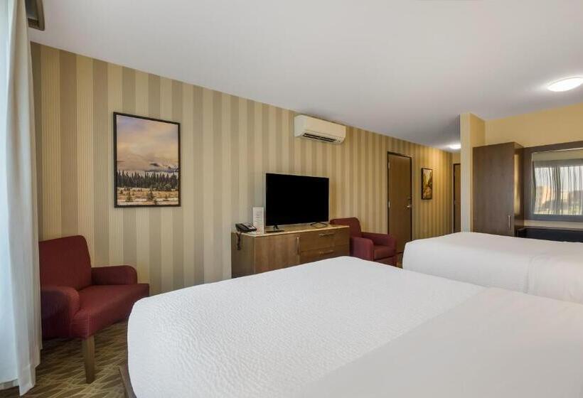 اتاق استاندارد برای معلولان, 11, Mod A Sonesta Collection
