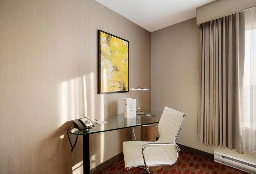 اتاق استاندارد با تخت بزرگ, 11, Mod A Sonesta Collection