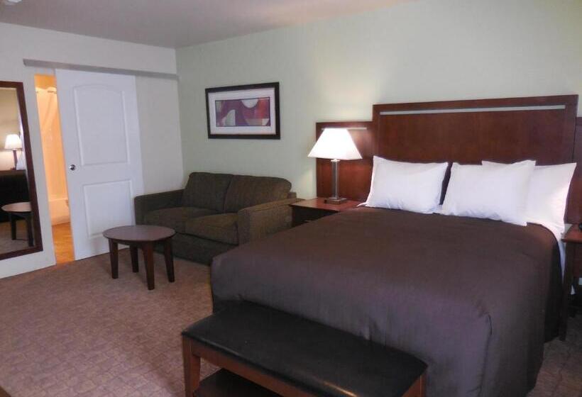 Номер Стандарт, Aspen Suites Hotel Haines