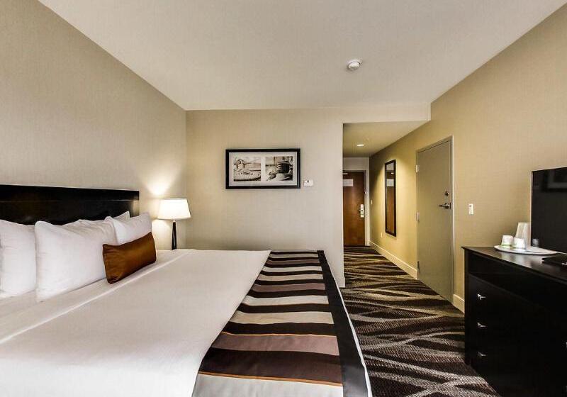Номер Стандарт, Radisson Hotel Edmonton Airport