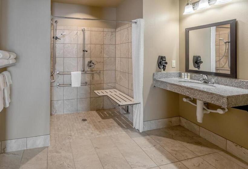 Номер Стандарт Адаптированный для Инвалидов, Landmark Suites  Williston