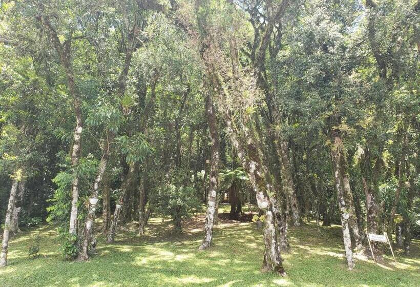 샬레, Pousada Das Flores