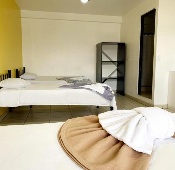 4인용 스탠다드 룸, Quinta Avenida