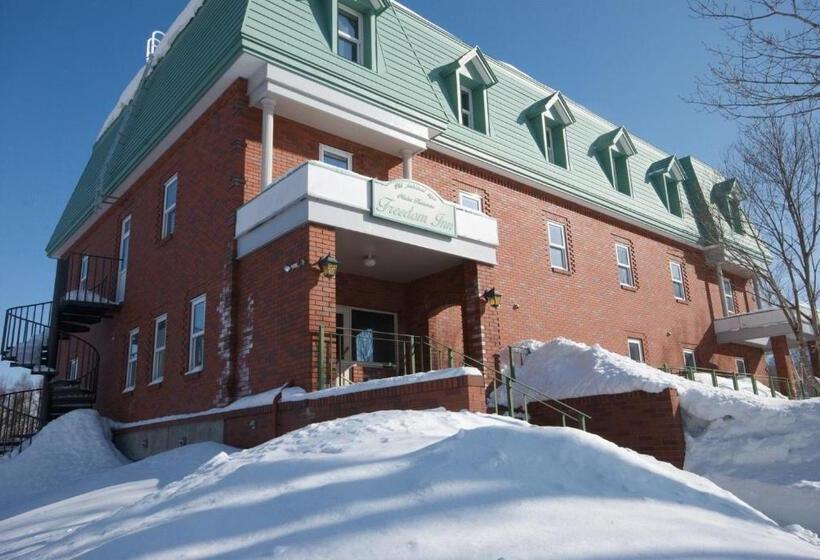 带大床的豪华间, Niseko Freedom Inn