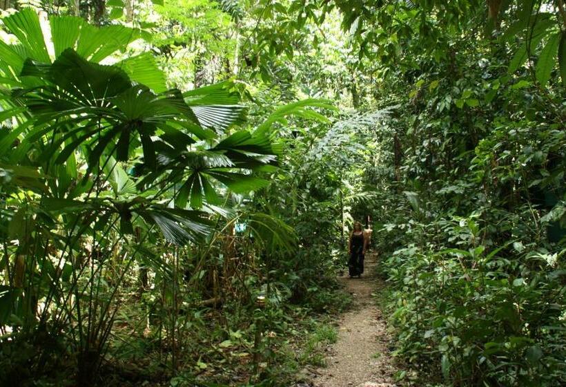Номер Стандарт Совместная Ванная, Daintree Crocodylus