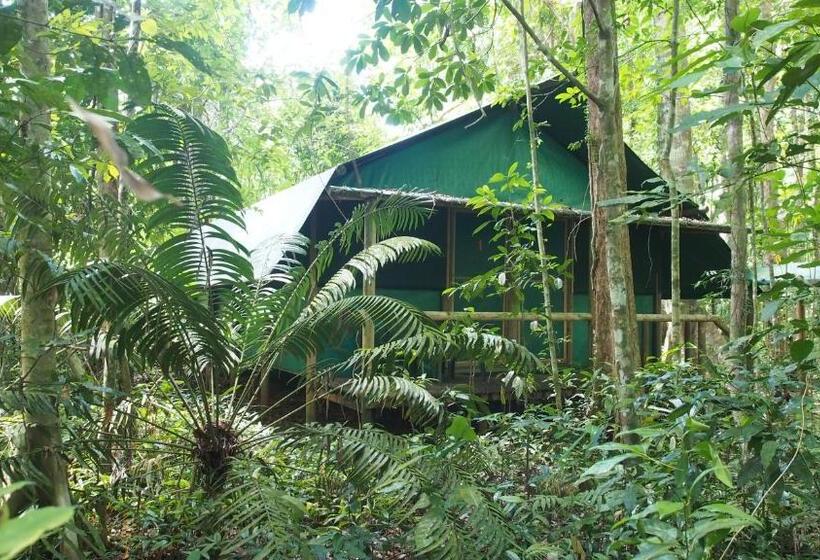Номер Стандарт Совместная Ванная, Daintree Crocodylus