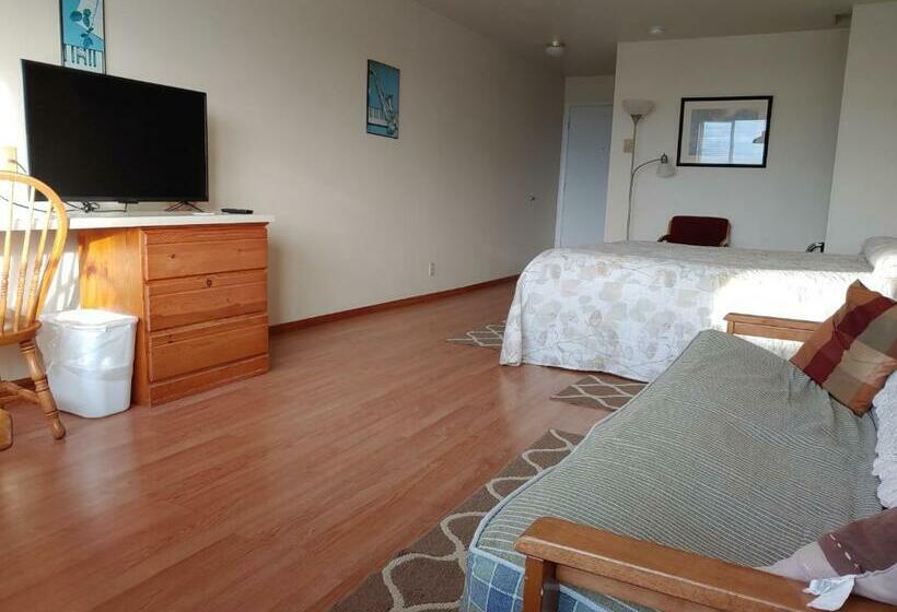 스탠다드 룸 킹사이즈 침대, The Dublin House Motel