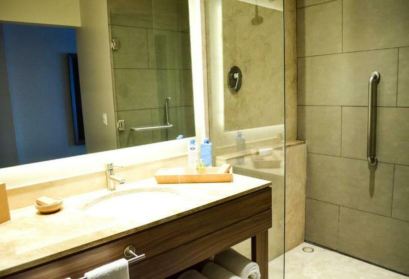 חדר סטנדרט עם מיטת קינג, Hampton Inn By Hilton Durango