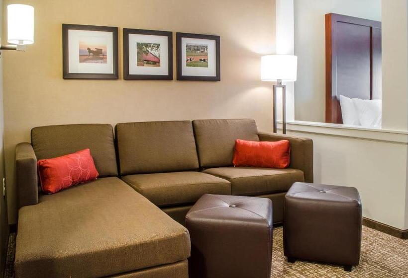 适合残疾人士使用的套间, Comfort Suites Manheim   Lancaster