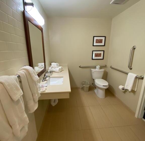 适合残疾人士使用的套间, Comfort Suites Manheim   Lancaster