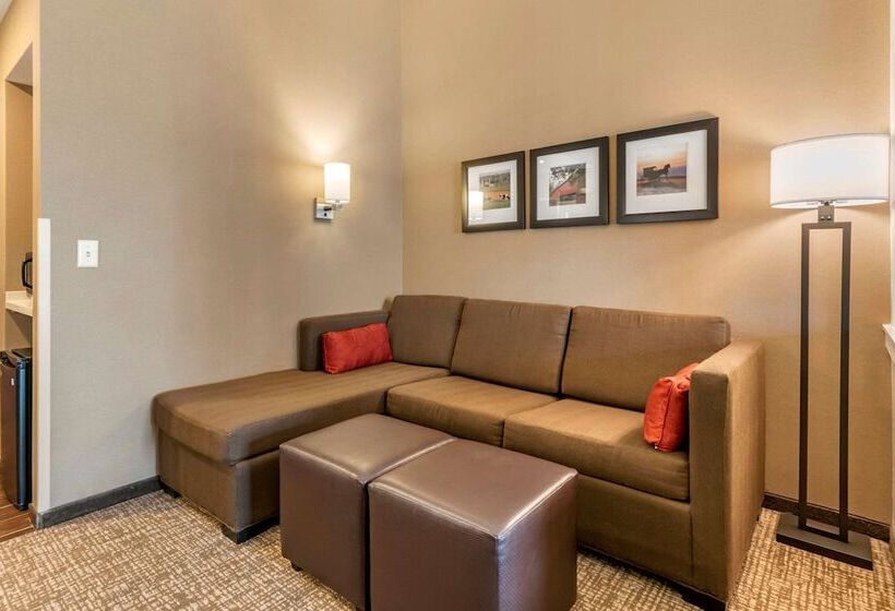 适合残疾人士使用的套间, Comfort Suites Manheim   Lancaster
