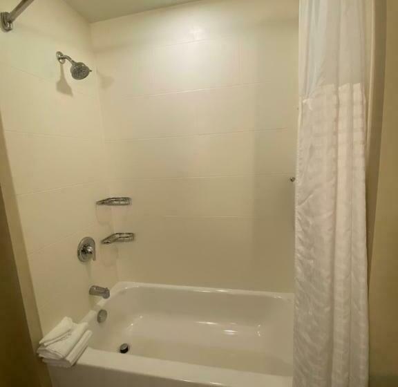 套房, Comfort Suites Manheim   Lancaster