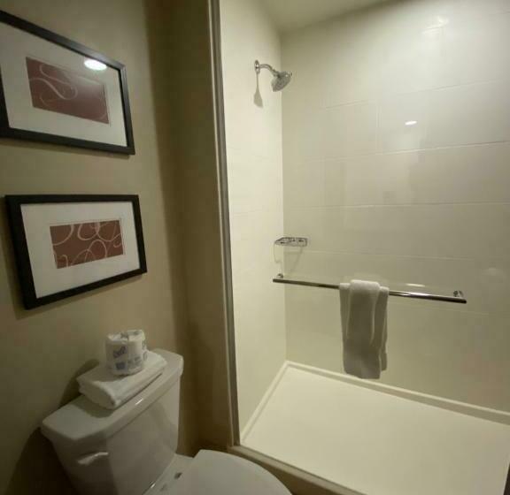 带大床的套房, Comfort Suites Manheim   Lancaster