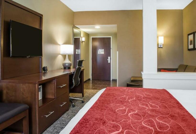 带大床的套房, Comfort Suites Manheim   Lancaster