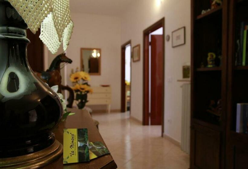 اتاق استاندارد, La Mimosa