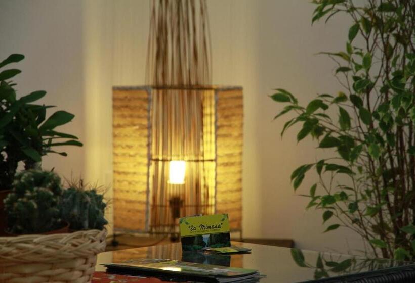 اتاق عادی, La Mimosa